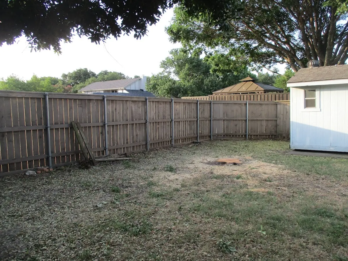Cleared yard after professional tree removal in Shady Point